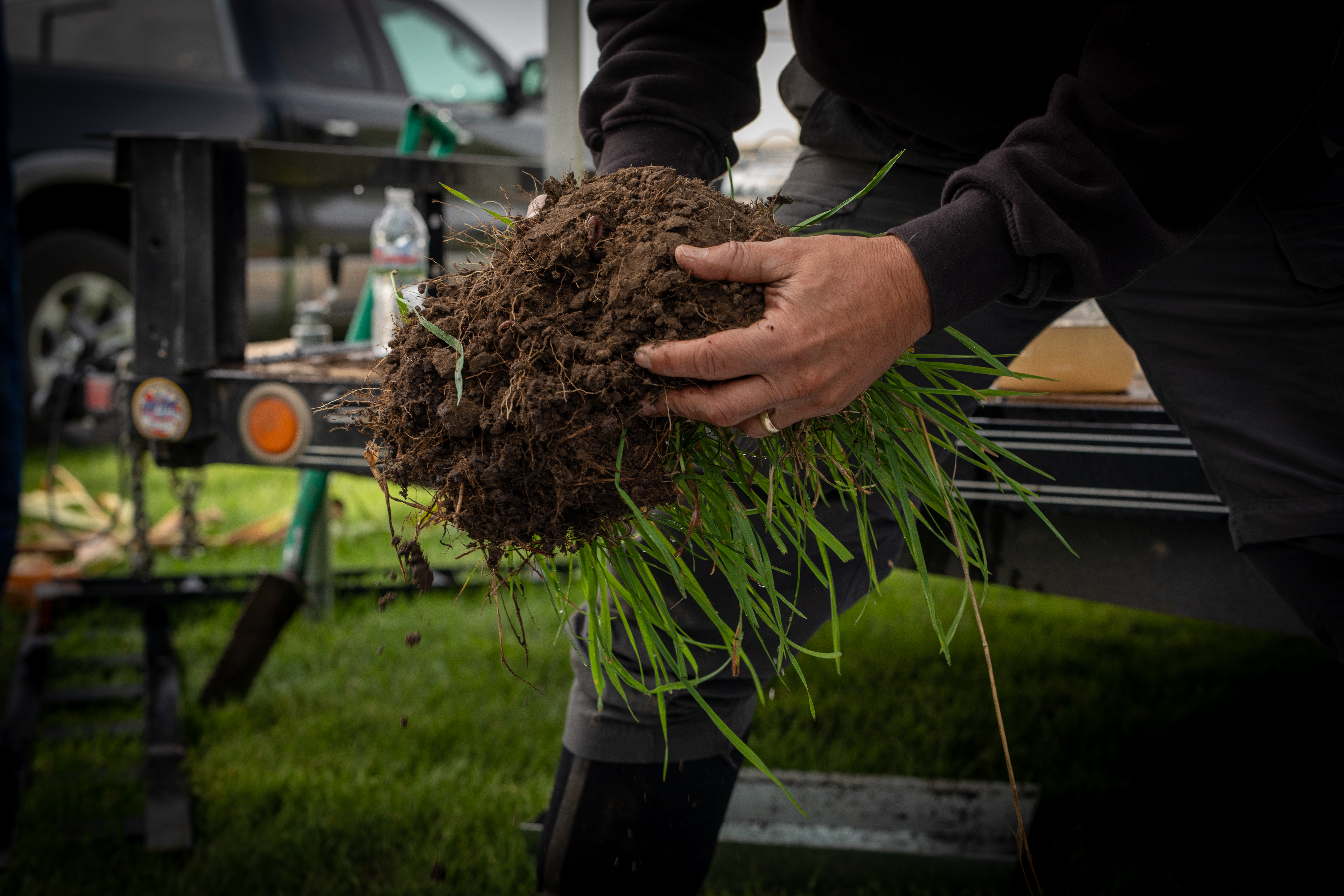 clump of grass and soil in someone's hands